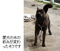 飯田市上郷黒田の井戸